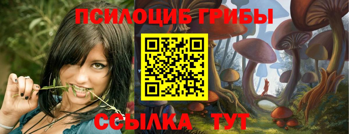 Галлюциногенные грибы прущие грибы Донской